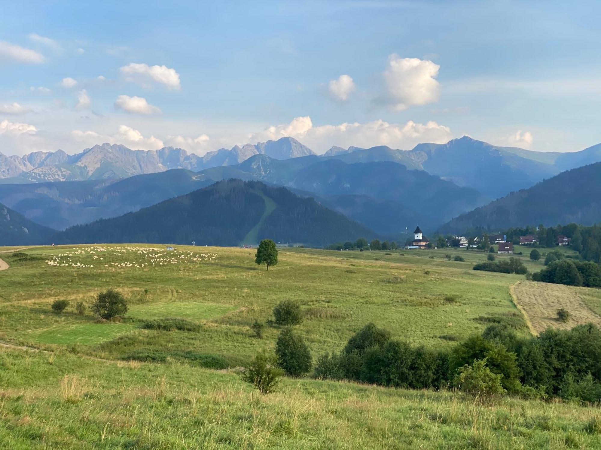 Apartament Pod Wierchem Zakopane Eksteriør bilde